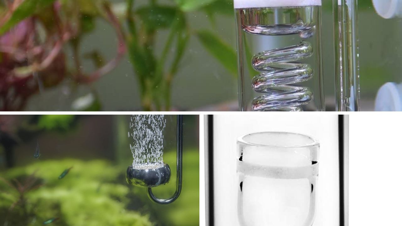 5 Aquarium CO2 Systems Get Ready for a Bubbly Fish Tank!