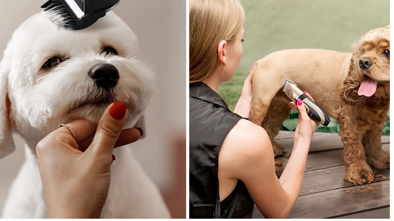 9 Best Dog Clippers To Keep Your Pup Looking Sharp!