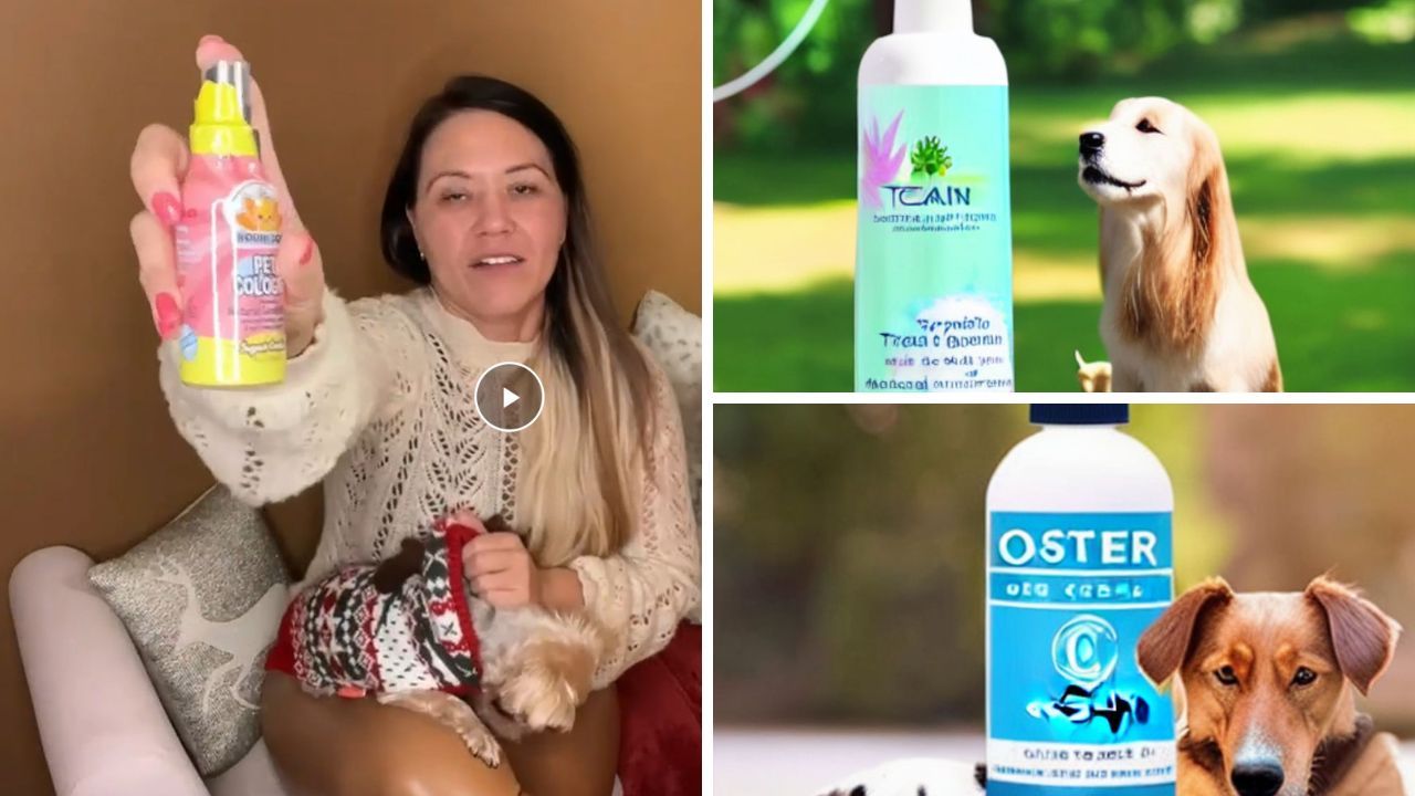 Best Dog Cologne That Groomers Use The 5 Best Options