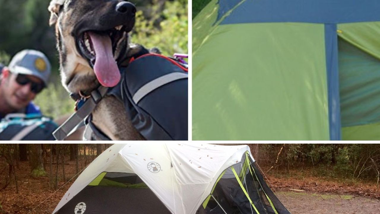 The Best Tents For Camping With Dogs A Comprehensive Review