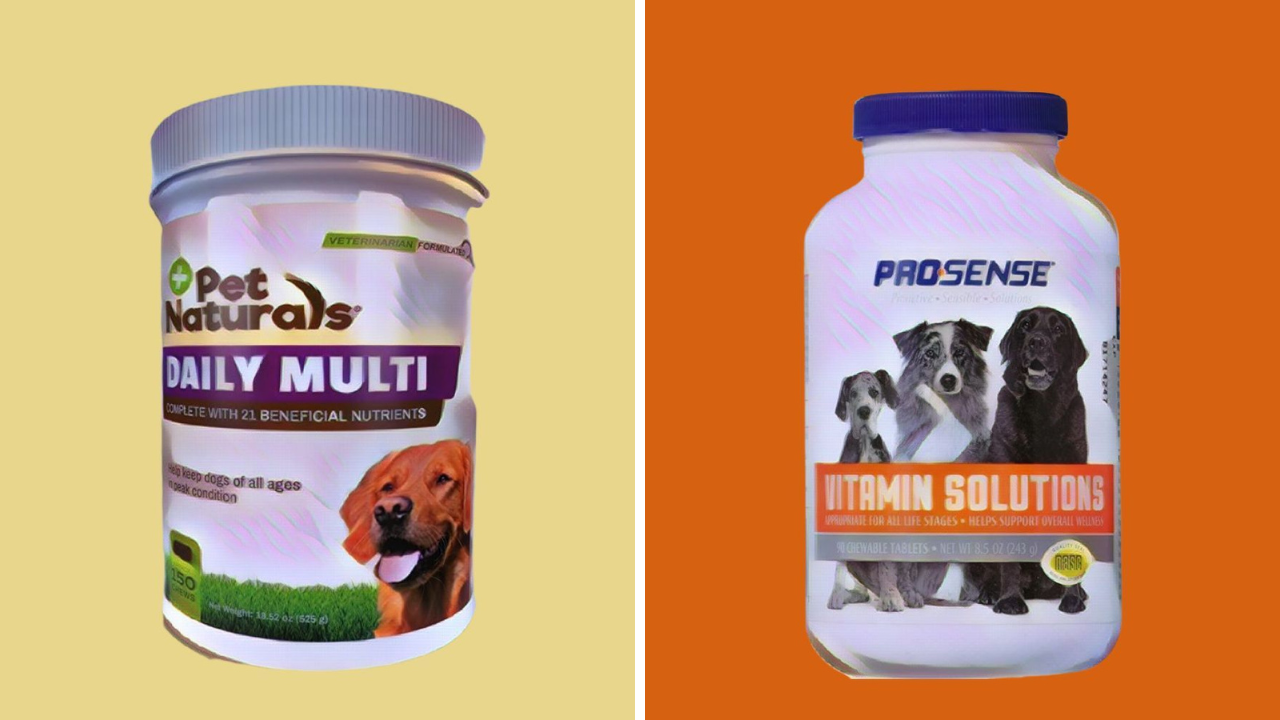 Best Dog Vitamins to Keep Your Pet Active & Healthy!