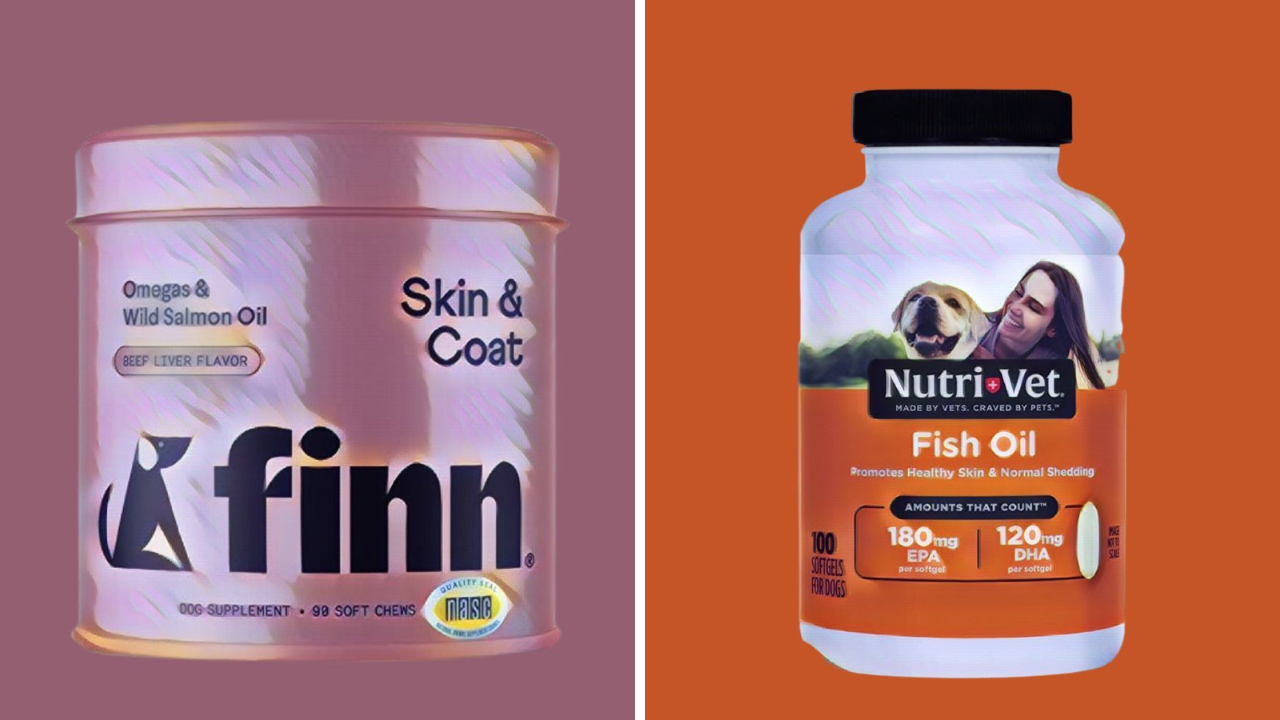 Best Fish Oil for Dogs to Keep Them At Their Healthiest!