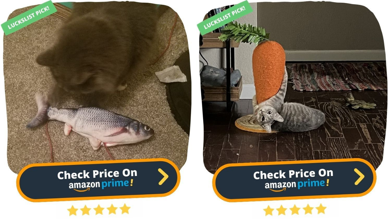28 Cat Products From Amazon Your Cat Will Love You For Buying