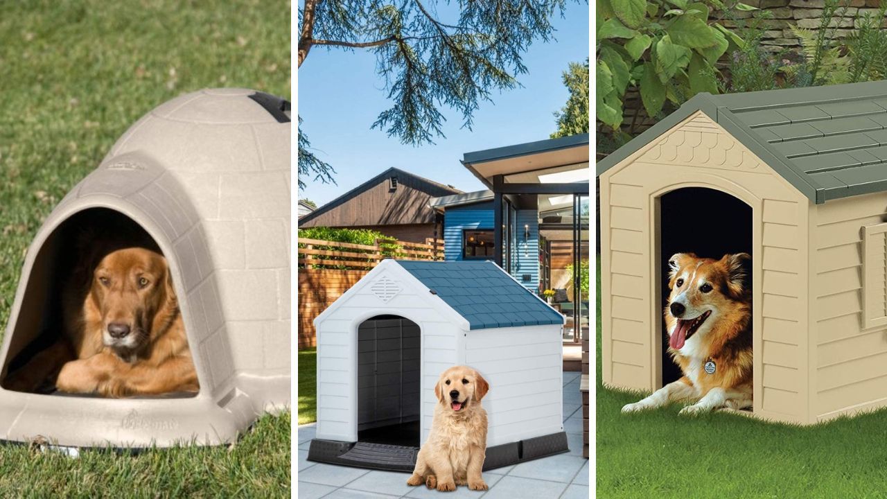 Cooling Down In Style: 6 of the Best Dog Houses for Hot Weather