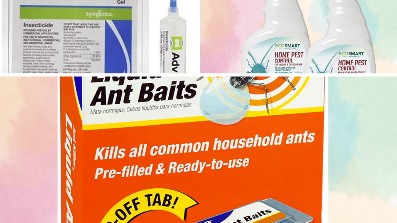 5 Best PetSafe Ant Killers Which One Will Wipe Out Your Pest Problem?