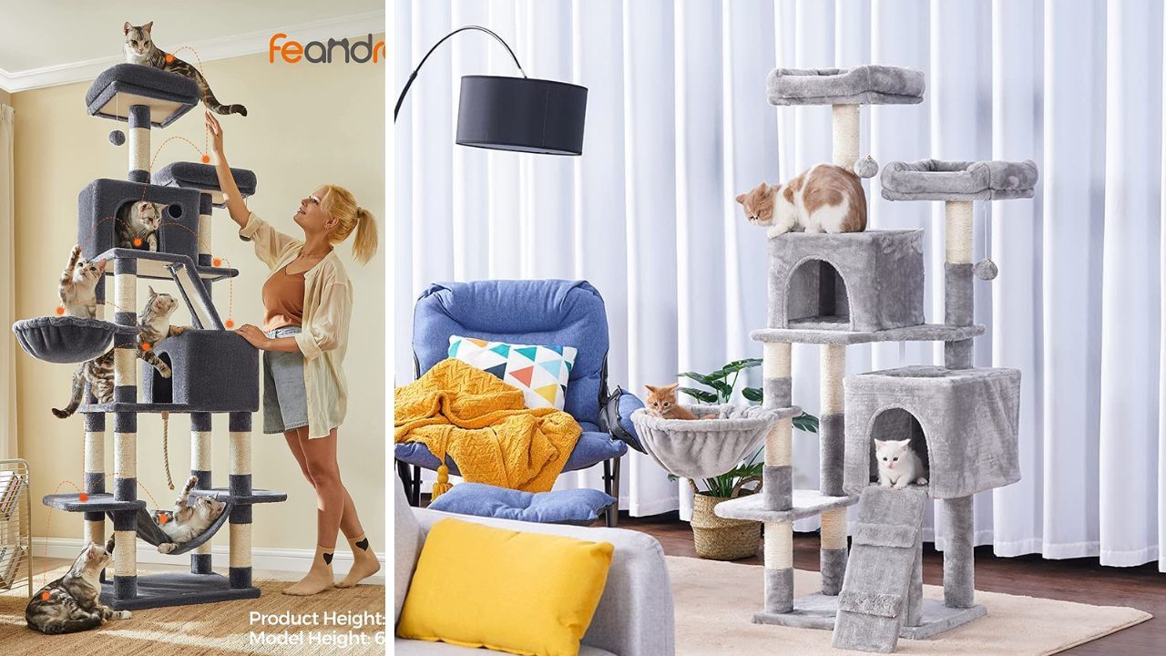 A Meowvelous Showdown Analyzing The Top 5 Best Cat Trees For Maine Coons