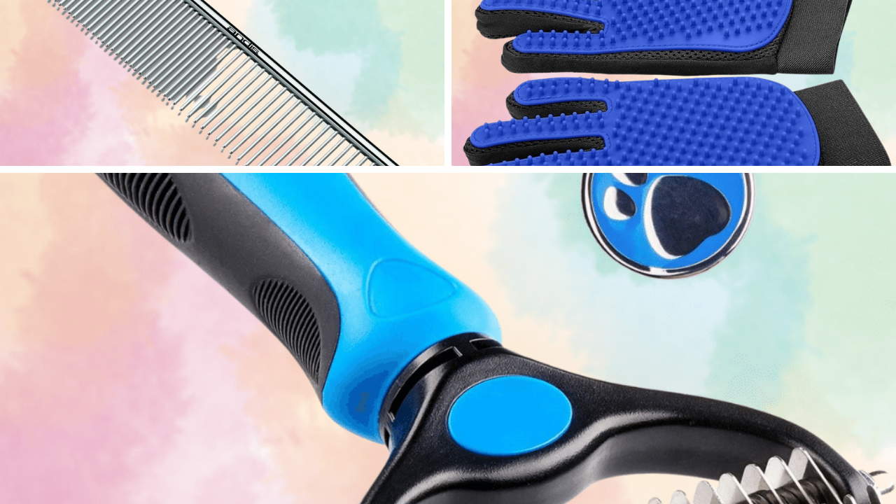 Can't Tame That Husky Fur? Try These 5 Best Dog Brushes and Find Out!