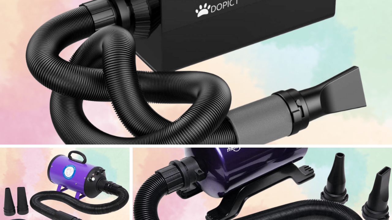 Fur Ever Fabulous Ranking the Best 5 Dog Hair Dryers