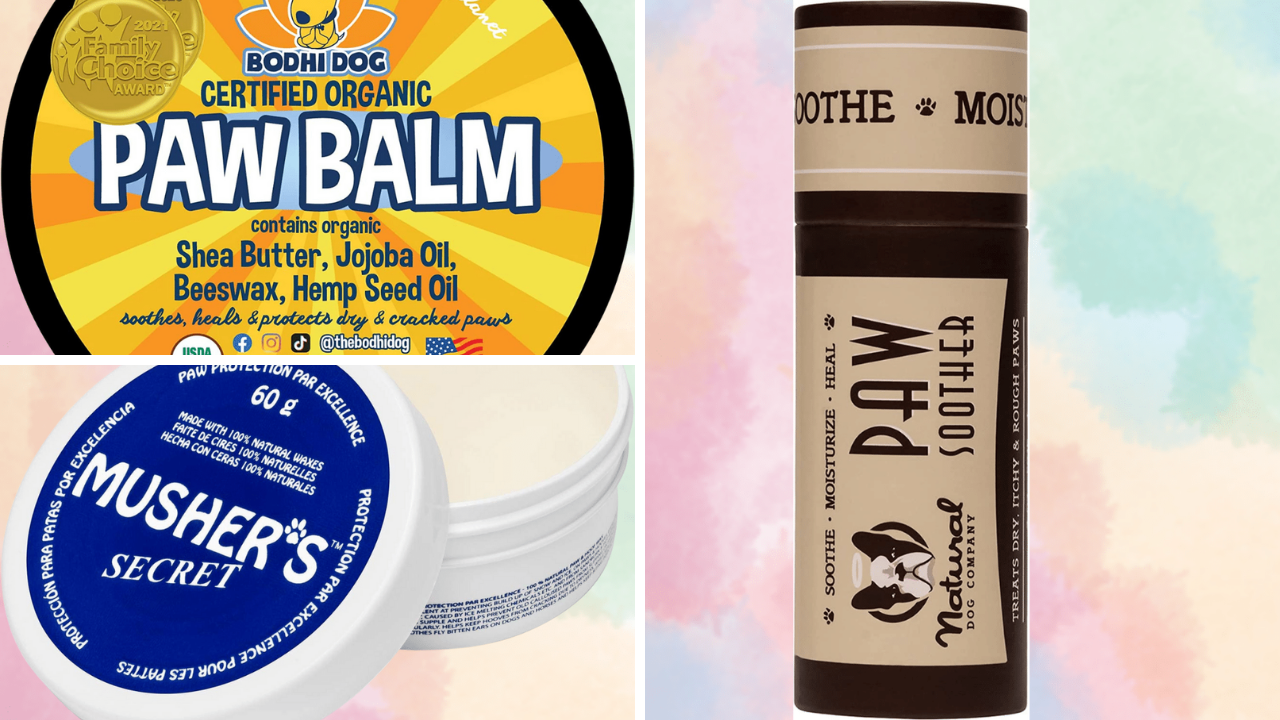 Paw Protection Showdown We Put 5 Dog Paw Protectants To The Test!