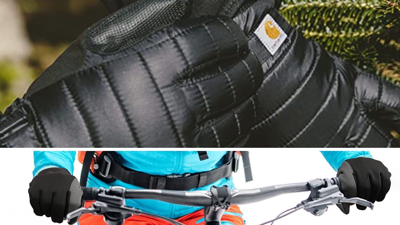 5 of the Best Dog Walking Gloves Let Your Paws Rejoice!