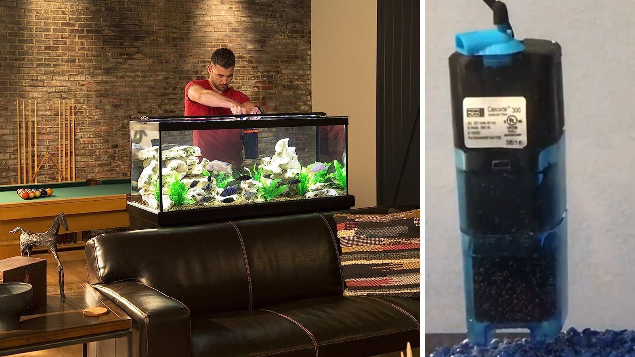Discover the Best 5 Internal Aquarium Filters For Crystal Clear Water Today!