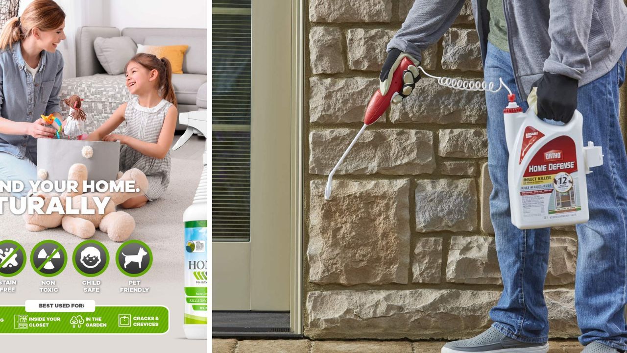 The Buzz Is Building Compare These 5 Best Outdoor Ant Killers Safe For