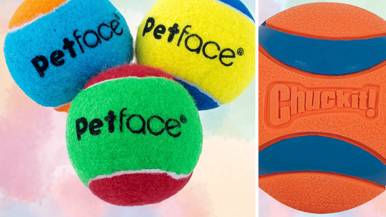 Barking Up the Right Tree Reviewing 5 Best Tennis Balls For Dogs