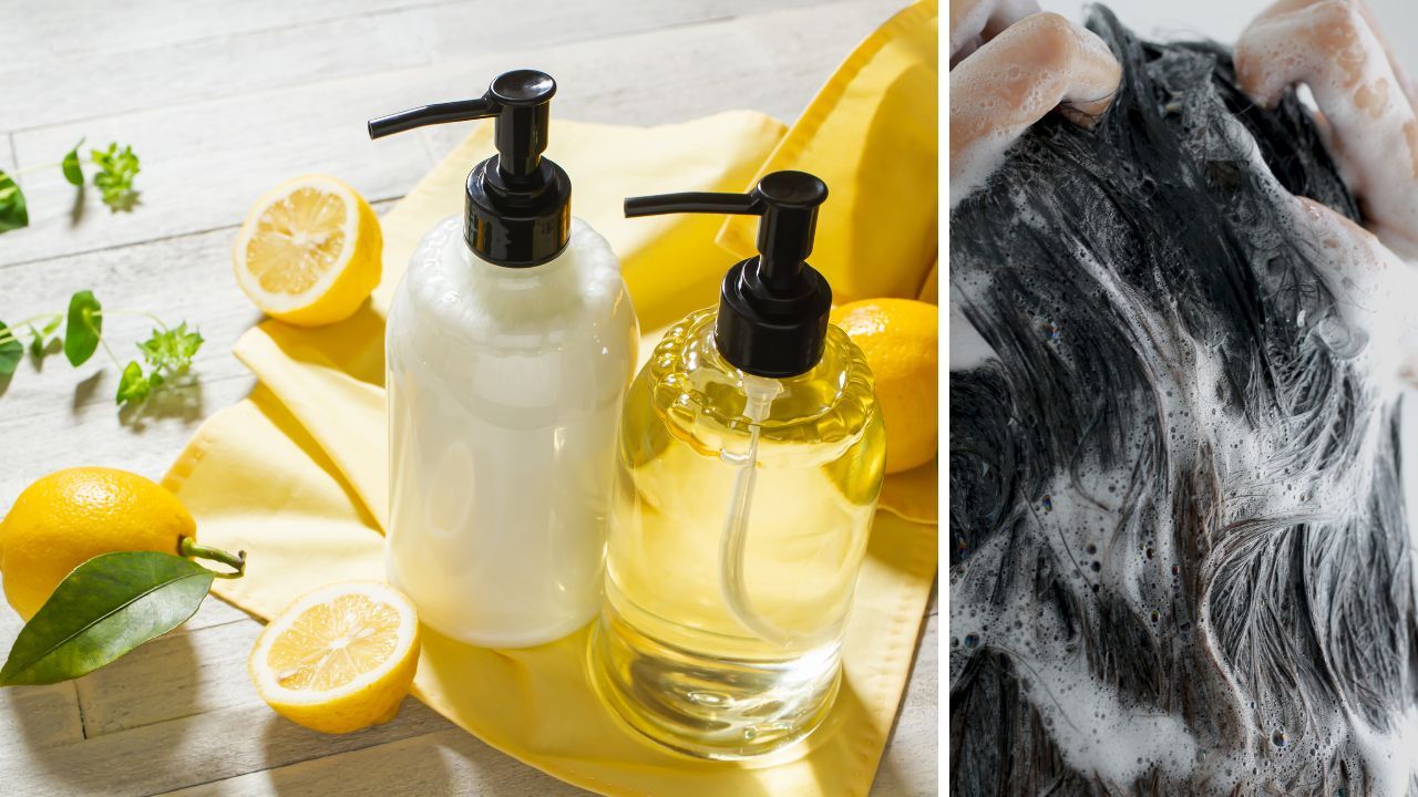 Shedding Light on the Best 8 Clarifying Shampoos for Low Porosity Hair