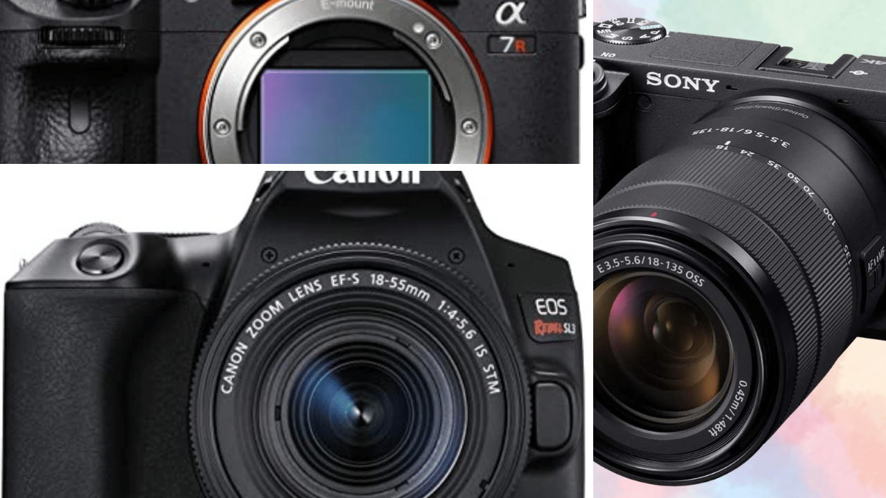Cutest Shooters Around Comparing 5 Cameras for Pet Photography!