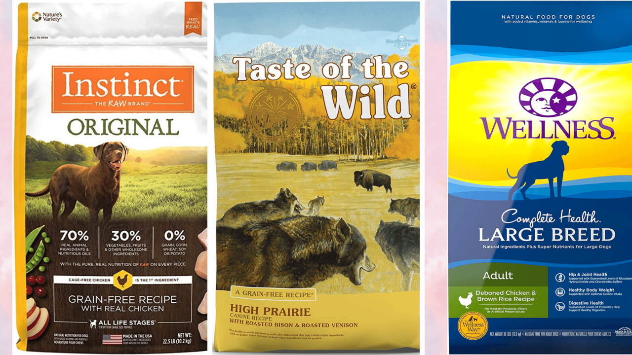 Put Your Best Paw Forward Reviewing The Top 5 Best Dog Foods For