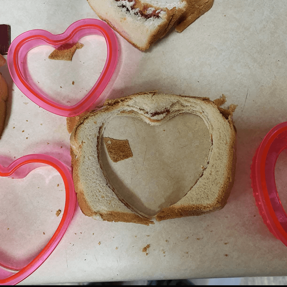 Sandwich Cutter