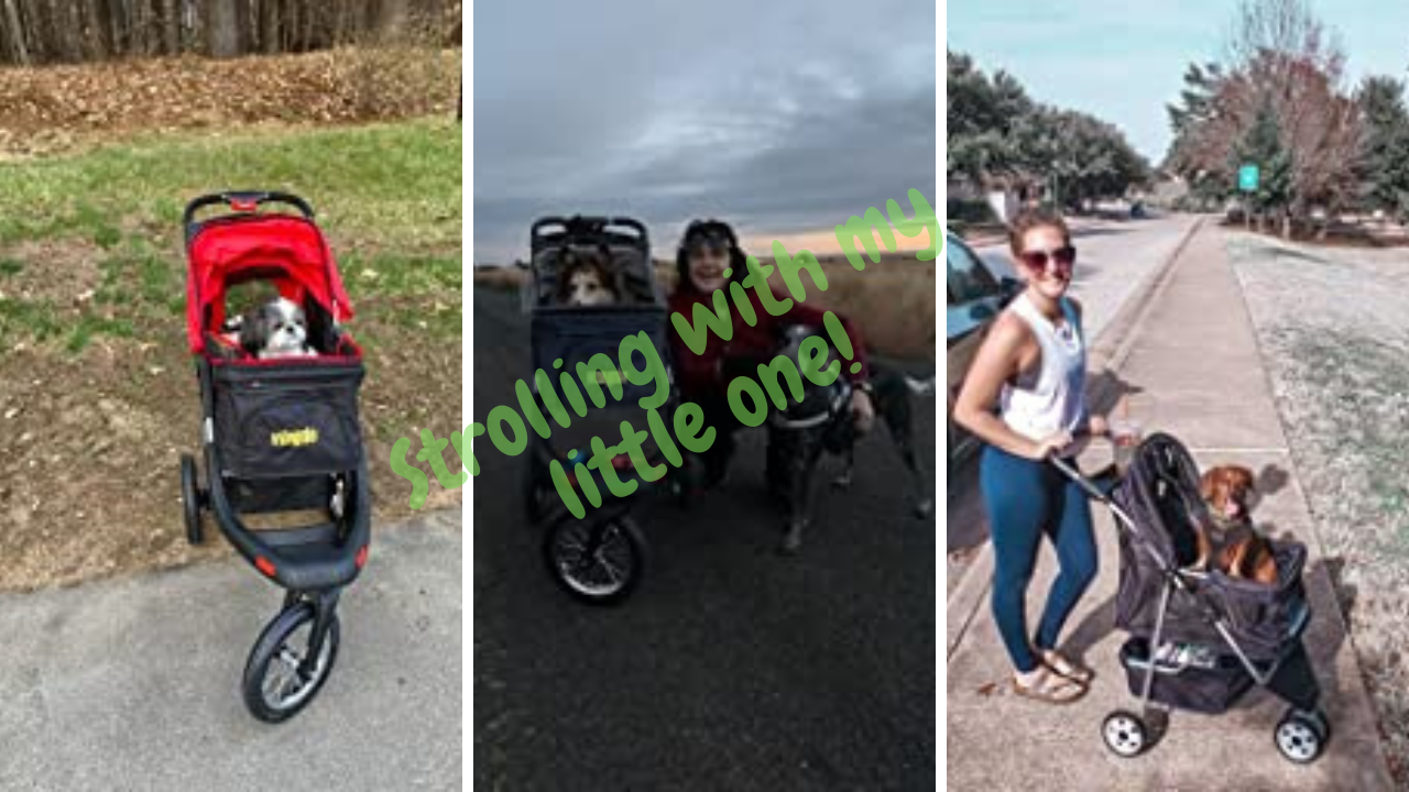 Fetching 6 of the Best Dog Strollers for Hiking Find the Ruffly