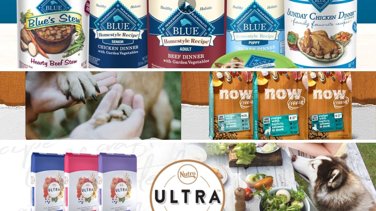 MastiffApproved! Ranking the 5 Best Dog Foods for Your Furry Friend