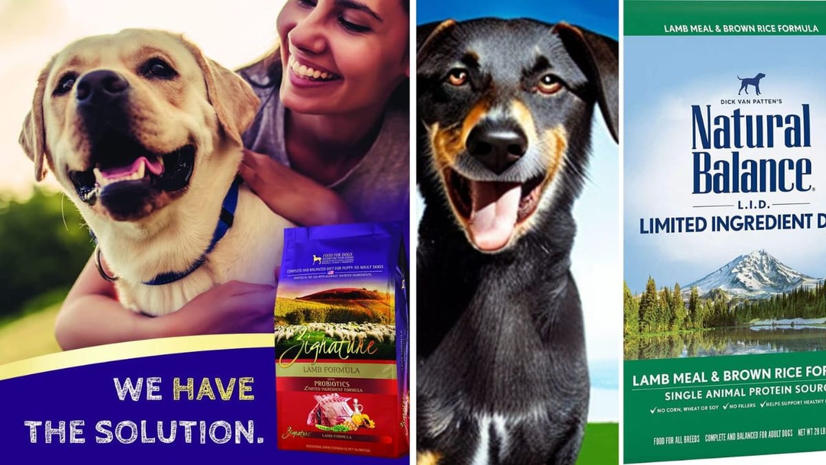 Top 5 Best Lamb Dog Food A Comprehensive Review