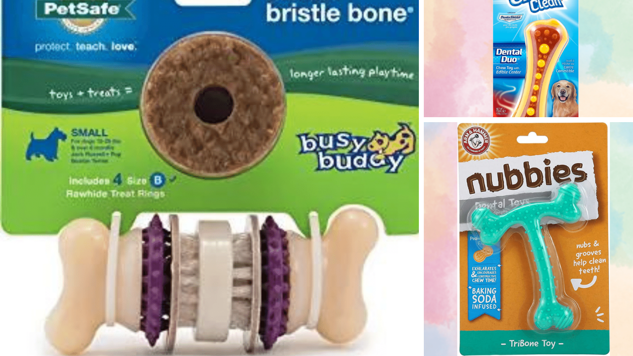 Canine Chomping We Rate the Top 5 best Dog Dental Chew Toys