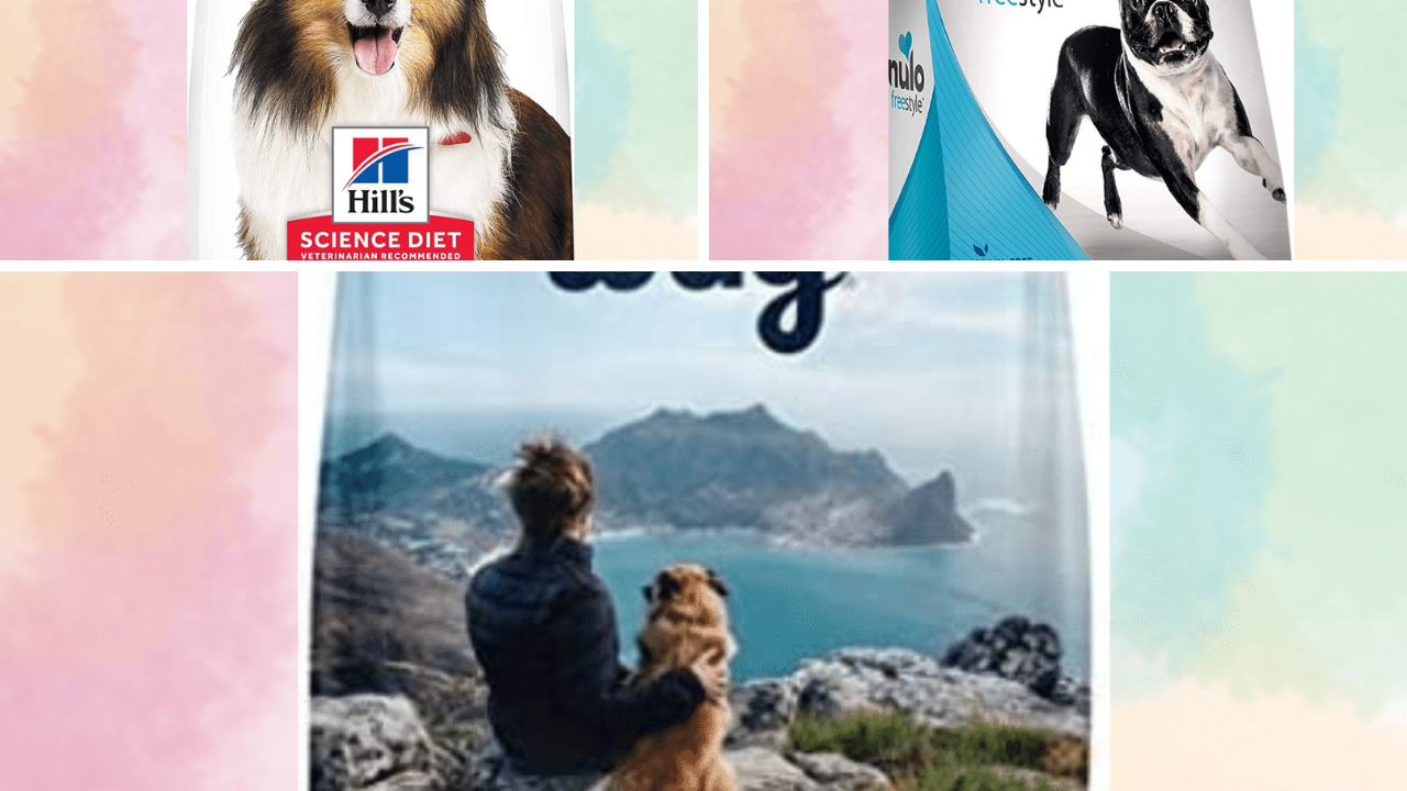 5 Dog Foods You Need to Buy to Cut Down On Poop Time Reviewing the