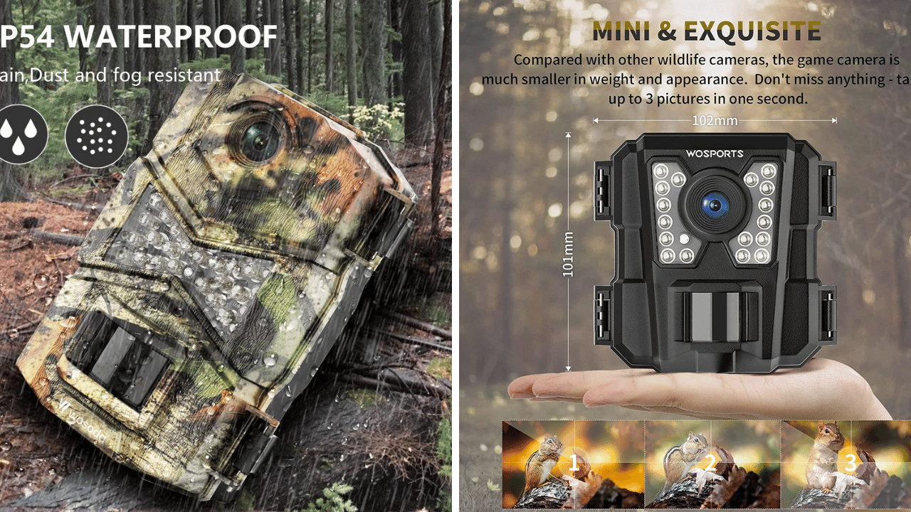 Exploring the Wilderness with the Tasco Trail Camera